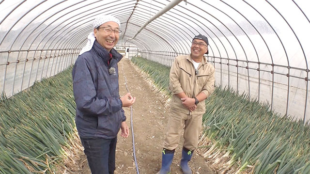 伝統野菜・仙台曲がりネギ