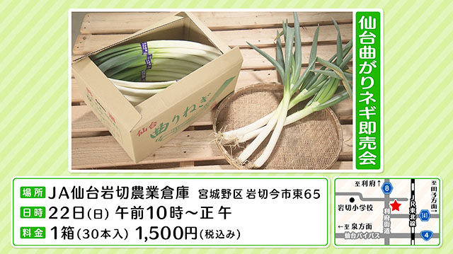 伝統野菜・仙台曲がりネギ