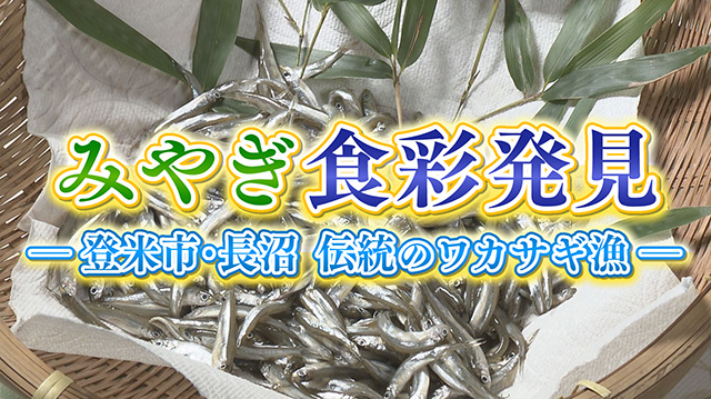 みやぎ食彩発見！　～村田町の「キクイモ」