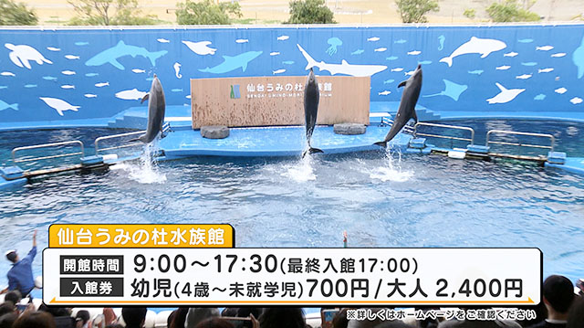 仙台うみの杜水族館