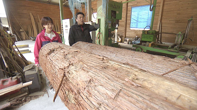 道の駅 津山もくもくハウス