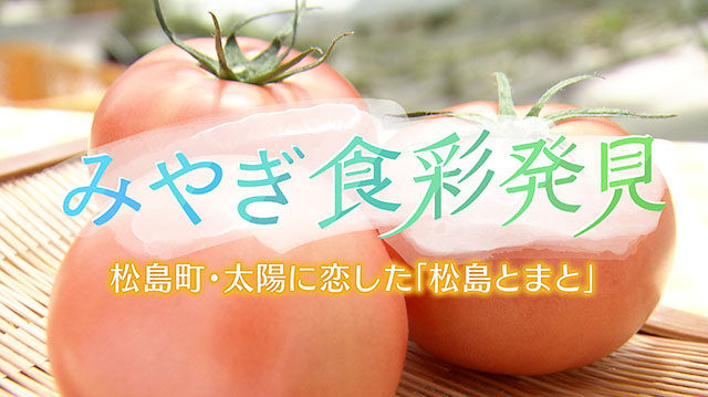 みやぎ食彩発見 ～太陽の光をたっぷりと浴びて育った「松島とまと」