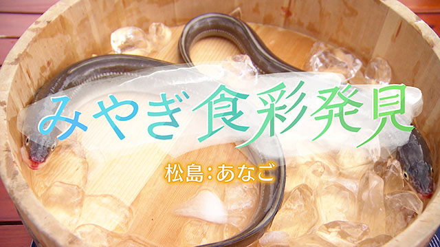 松島の名産「あなご」をどどーんと紹介！