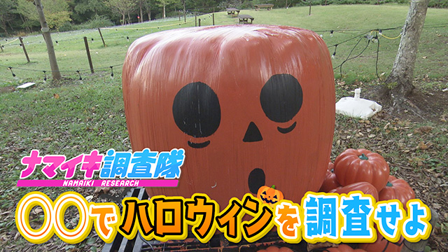 ナマイキ調査隊！まもなくハロウィン！ちょっと変わった楽しみ方を調査！