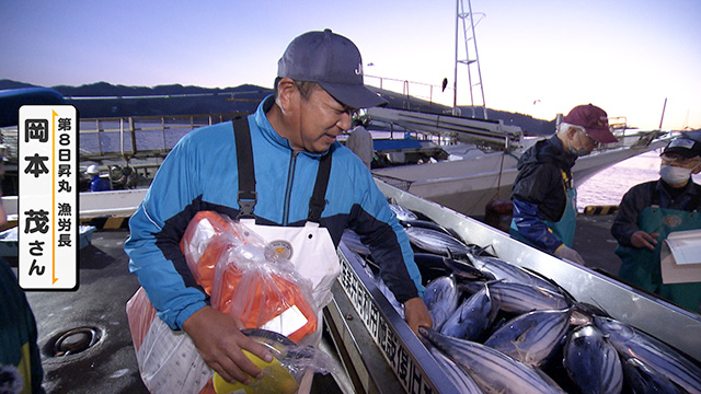 気仙沼魚市場