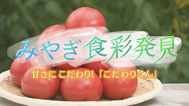 みやぎ食彩発見 ～石巻の高糖度トマト