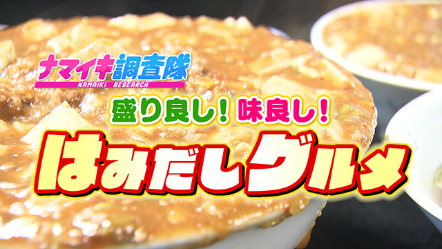 ナマイキ調査隊 ~味よし!盛りよし!はみだしグルメを大調査