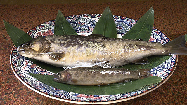 滝ノ原温泉 ちどり荘