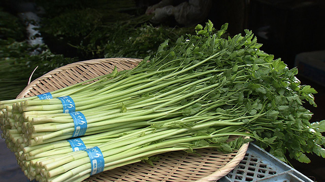 約300年前の江戸時代から続く伝統野菜「河北せり」”