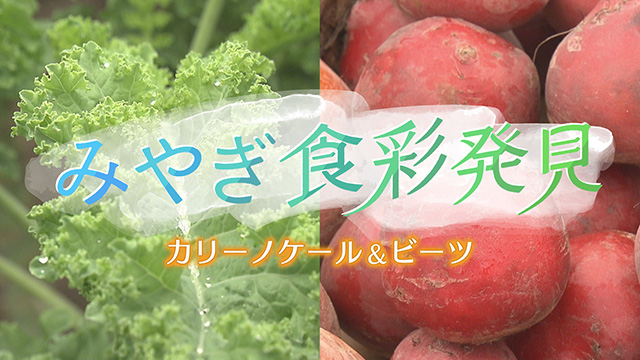 みやぎ食彩発見～南三陸町でスーパーフード発見！