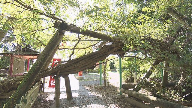 白鳥神社