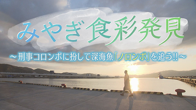みやぎ食彩発見！～深海魚ノロンボ