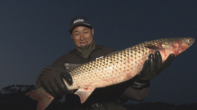 ハーバーハウスかなめ