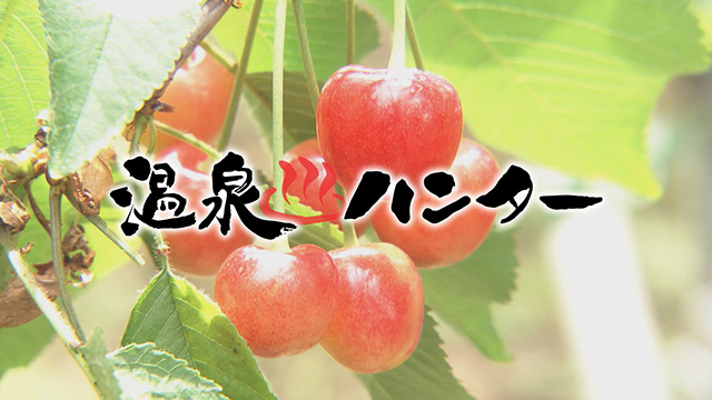 温泉ハンター~山形県上山市編