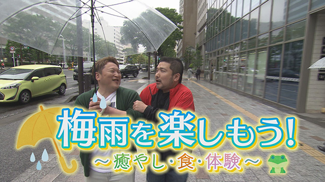 梅雨を楽しもう!