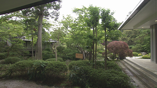 寺ヨガ(ステラヨガ)