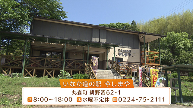 いなか道の駅 やしまや