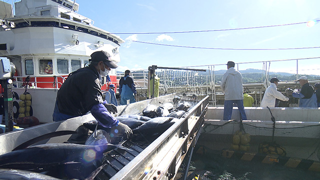 KESENNUMA BASE CAMP