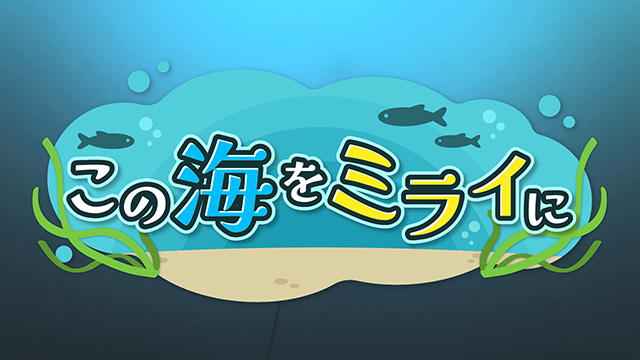この海をミライに