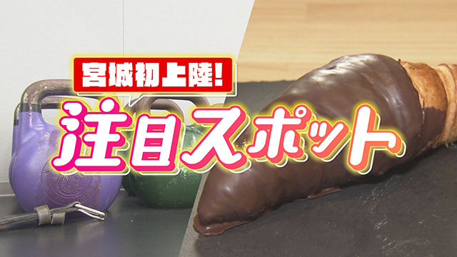 オープンしたばかり!全国初!?宮城県初上陸の注目スポット