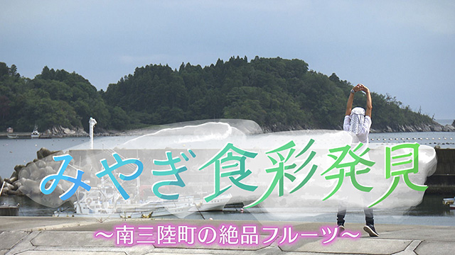 みやぎ食彩発見!~南三陸の旬の葡萄