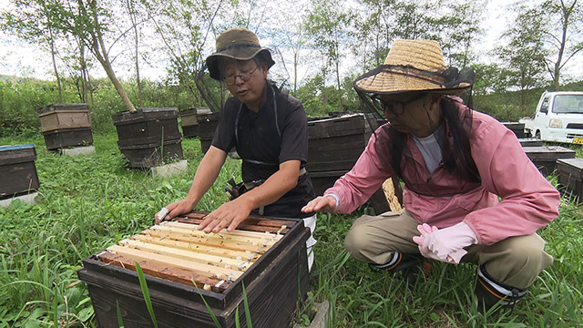 石塚養蜂園 耕野のはちみつ
