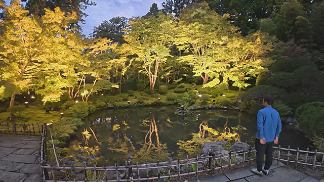 円通院 紅葉ライトアップ
