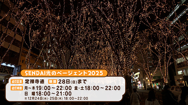 2025 SENDAI 光のページェント