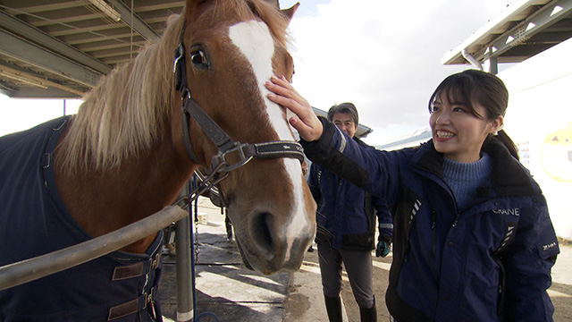 海岸公園馬術場