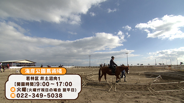 海岸公園馬術場