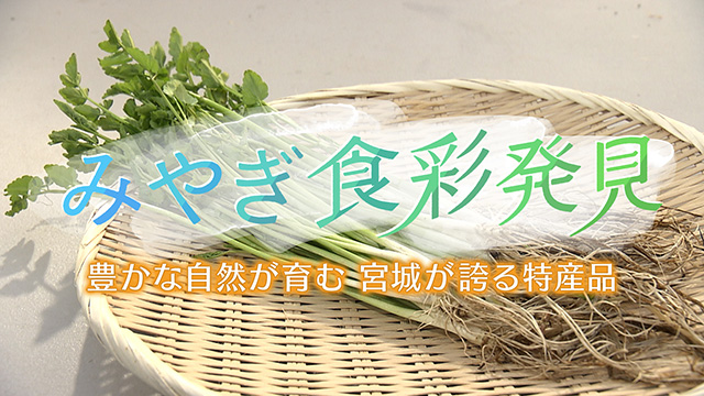 みやぎ食彩発見！～「セリ」の新たな魅力
