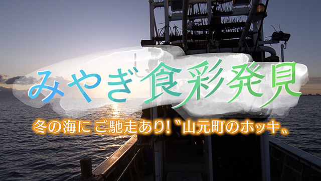 みやぎ食彩発見！～大ぶりで肉厚なホッキ