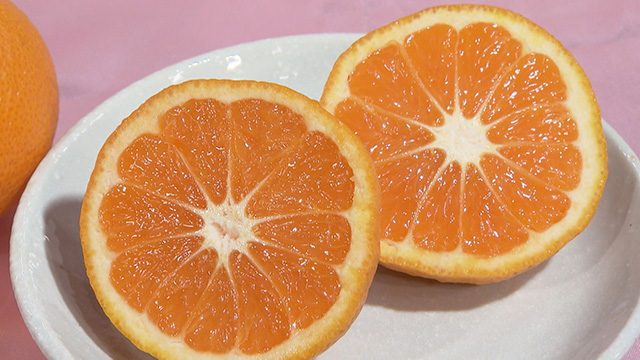 おおくまふれあいセンター