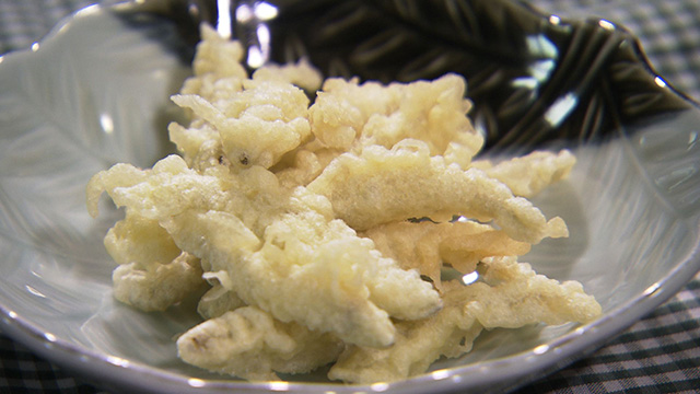 みやぎ食彩発見！～この時期ならではの釣り