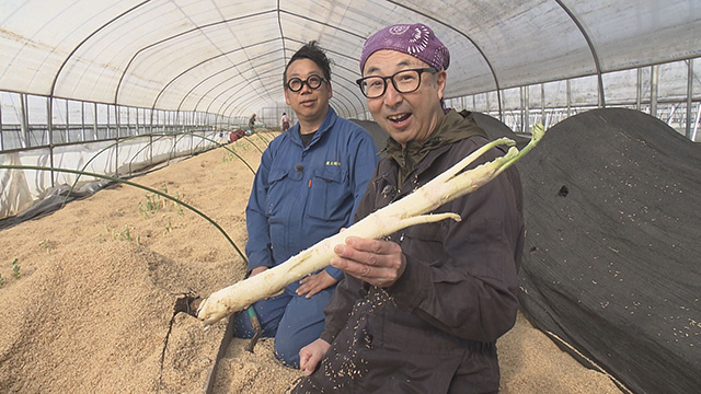蔵王山うど 販売場所