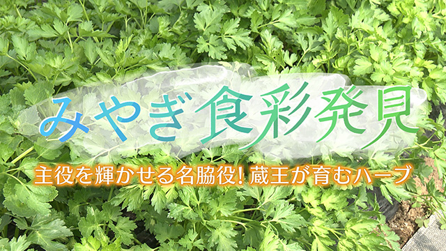 みやぎ食彩発見！～蔵王が育むハーブ