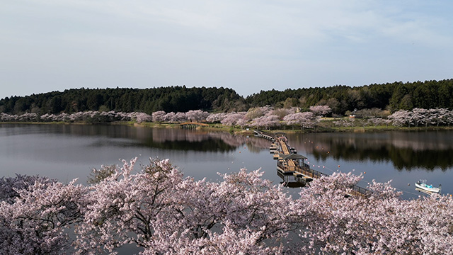 平筒沼ふれあい公園