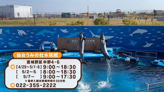 仙台うみの杜水族館