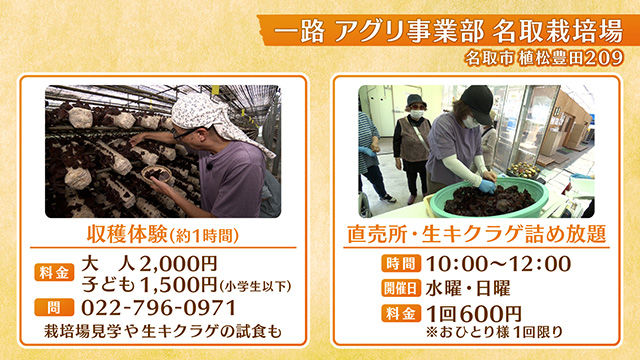 一路 アグリ事業部 名取栽培場