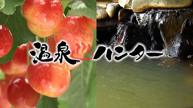 温泉ハンター!~山形・さくらんぼ狩りと日帰り温泉編