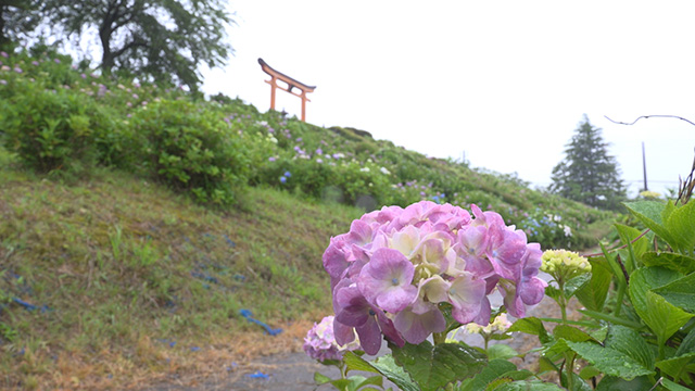 愛宕山公園(管理事務所)