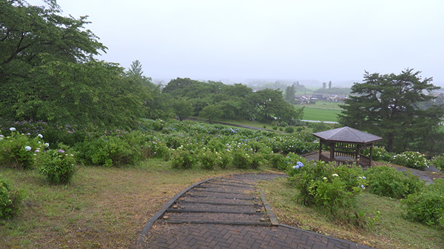 愛宕山公園(管理事務所)