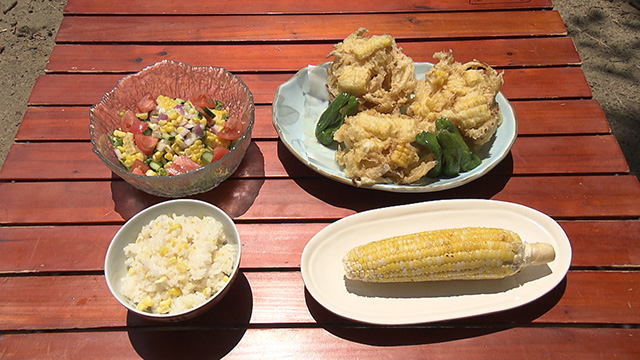 村田町の夏野菜「ドルチェドリーム」