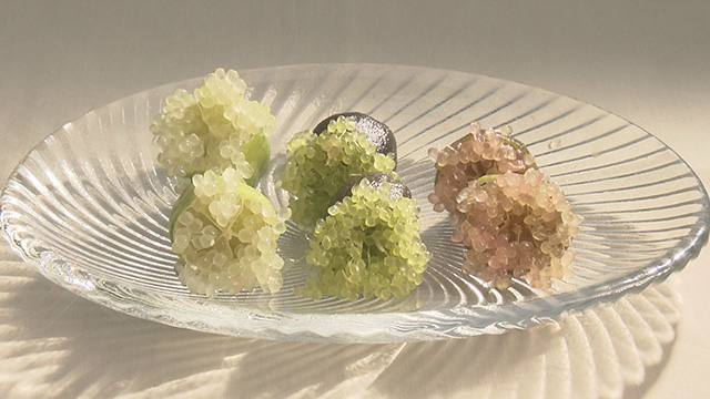 アクアイグニス仙台