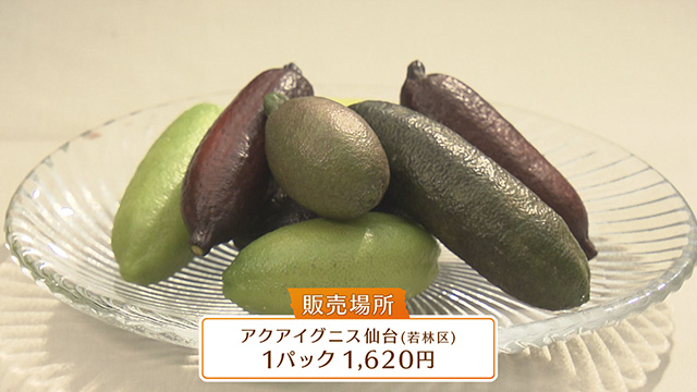 アクアイグニス仙台