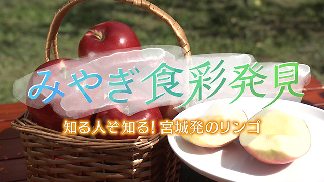 みやぎ食彩発見！～南三陸町