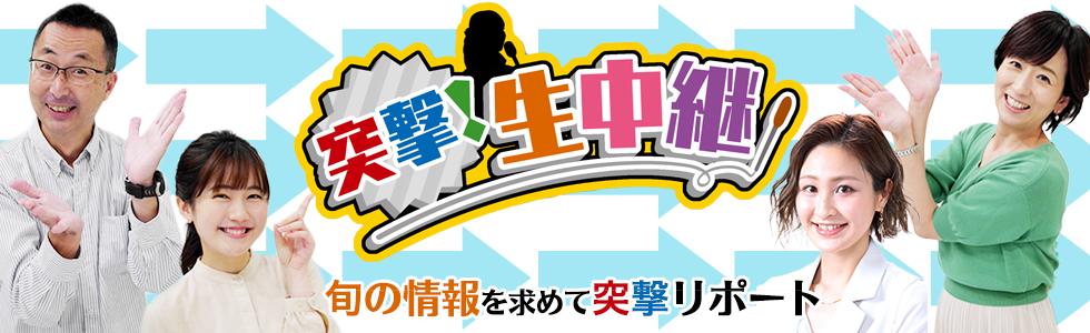 突撃!生中継 旬の情報を求めて突撃リポート