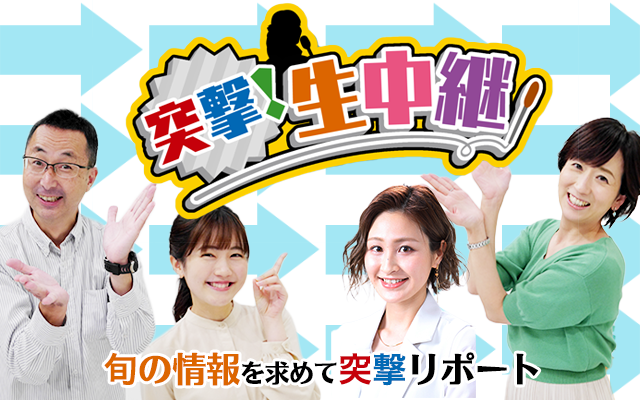 突撃!生中継 旬の情報を求めて突撃リポート
