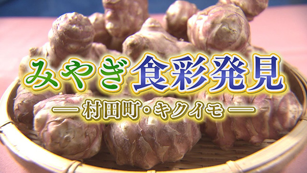 youtube番組一覧