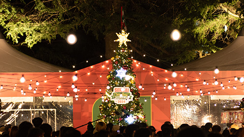 全部見せます！仙台クリスマスマーケット２０２５